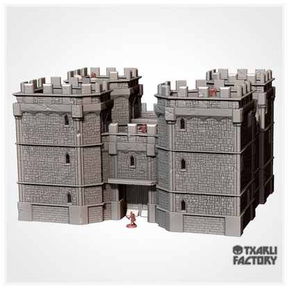 Castle / Stronghold - Txarli Factory