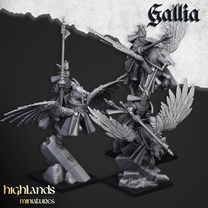 Gallia Knights on Pegasus - Gallia