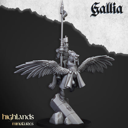 Gallia Knights on Pegasus - Gallia