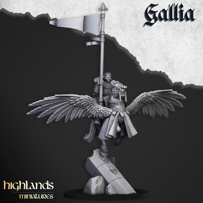 Gallia Knights on Pegasus - Gallia