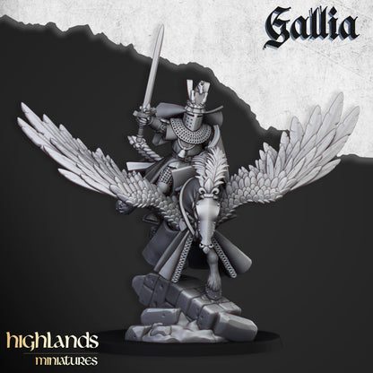 Gallia Knights on Pegasus - Gallia