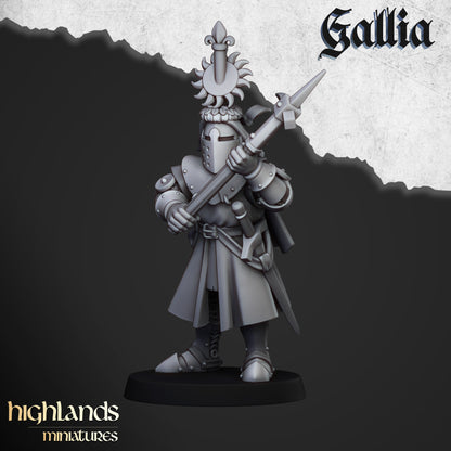 Knights of Gallia on Foot  - Gallia