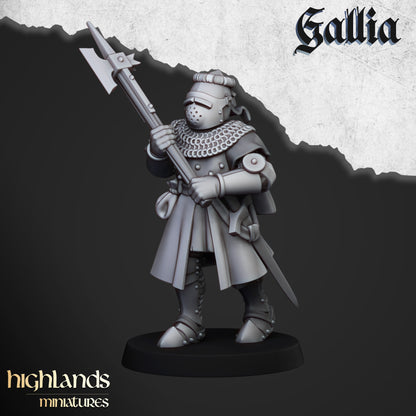 Knights of Gallia on Foot  - Gallia