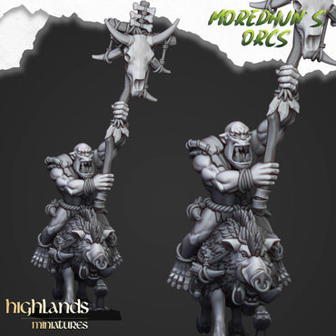 Mounted Cave Orcs - Moredhun's Orcs