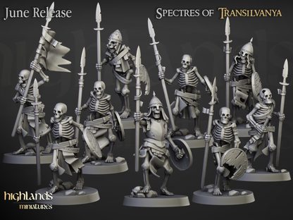 Skeleton Warriors with Spears and Shields - Transilvanya - The Fallen Realm