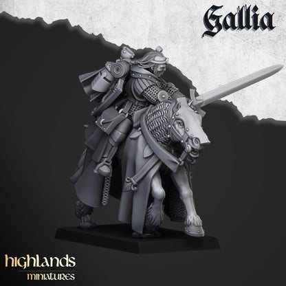 Questing Knights - Gallia