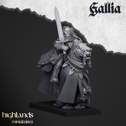 Questing Knights - Gallia