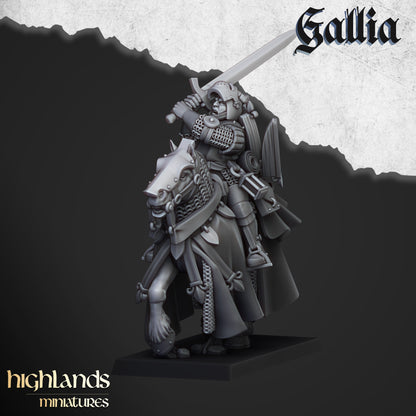 Questing Knights - Gallia