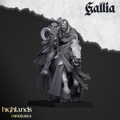 Questing Knights - Gallia